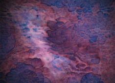 さらに拡大した写真